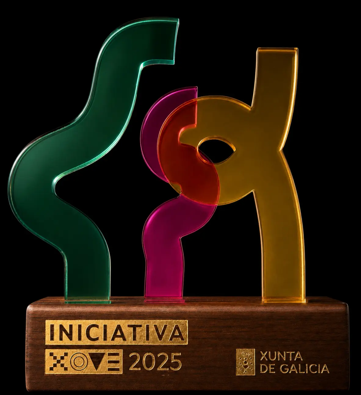 Galardón Iniciativa Xove 2025 de la Xunta de Galicia